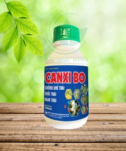 CANXI BO